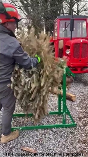 Why Does This Machine Hold Logs Like a Crocodile? #facts #factshorts