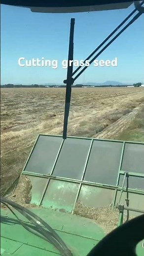 Cutting grass seed # 4995 John Deere swather #farming