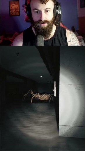 GIANT HUNTSMAN SPIDER HORROR GAME...