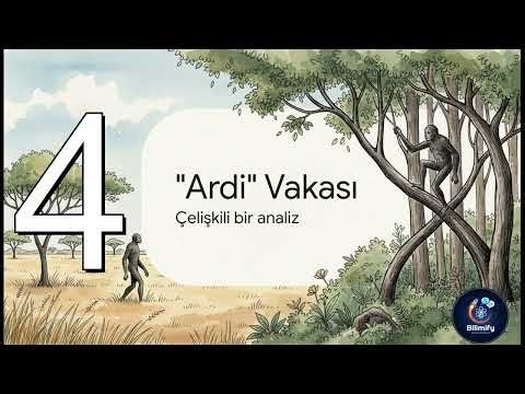 Dik Duruşlu Maymun #13