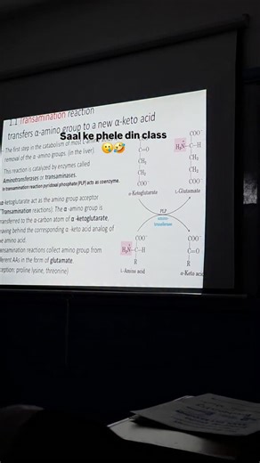 🧬 on Instagram: "Happy new year! #fyppage❤️シ #goviral #explorepage #explorar #biochemistry"