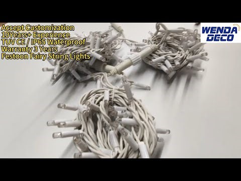 Festoon Fairy String Lights (2)