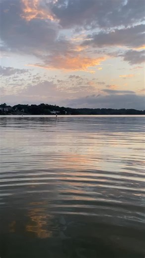 Allie Anderson on TikTok