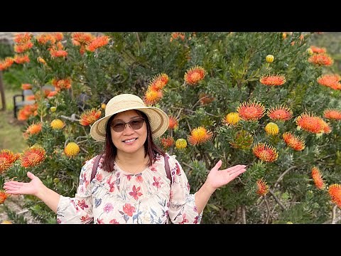 Ali’i Kula Garden and Lavender Farm Full Tour / Maui Hawaii 🌺 🇺🇸