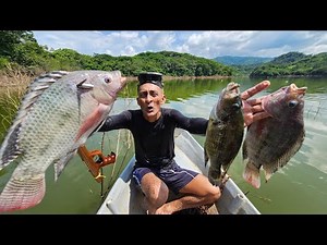 Spearing for LARGE tilapia in a thorny area