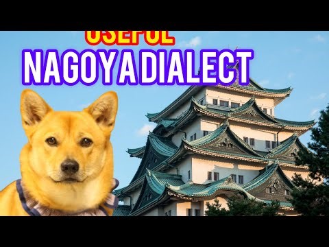 The most often use Nagoya dialect part3 名古屋弁 日本語