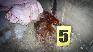 Watch Paranormal Emergency Season 1 Episode 4 - There's No Training for This