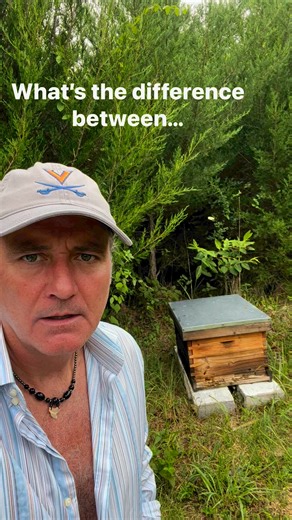 1.1M views · 39K reactions | What’s the difference between… #reels #joke #jokes | Sick Twisted Humor | Facebook