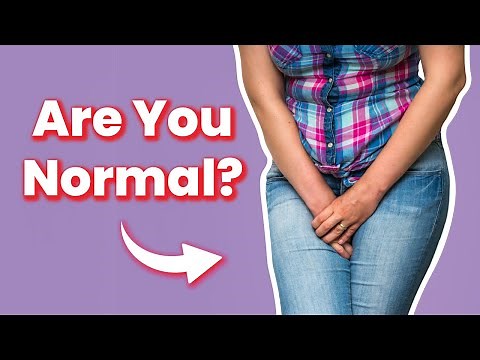 How Often Should I Pee?