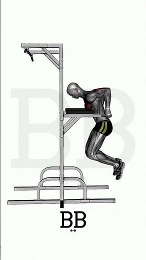 Dips (TRICEPS & CHEST): Master the Ultimate Bodyweight Pushing Power! 💪