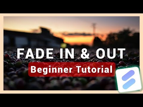Fade In and Fade Out Effect | Spring Video Editing Tutorial