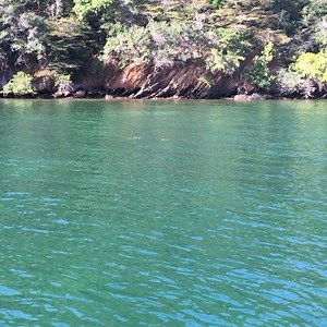 3.7K views · 102 reactions | Turtle Bay, Monos Island. 2,3 and 4 hour day cruises available everyday from 10:am. TT$2000,$3000 and $4000 respectively. 1-6 persons, Max 10 | Spectrum Private Yacht Charters | Facebook