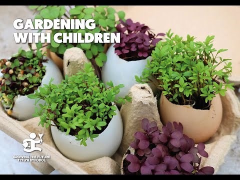 Gardening with Children: Growing Cress