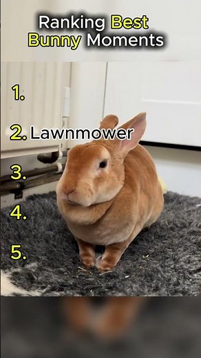 Ranking Best Bunny Moments🐐 #best #tiktok #ranking #impressive #skills #talent #shorts