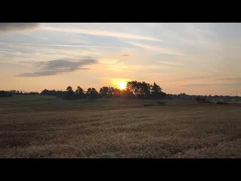 Agrovation Kněžmost | Farming simulator 19 | Stream uvídíme co stihneme