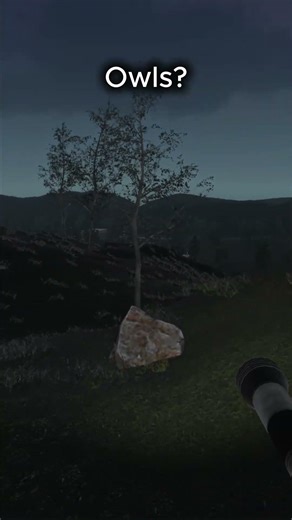 Lost in a dark forest… can I find my home?