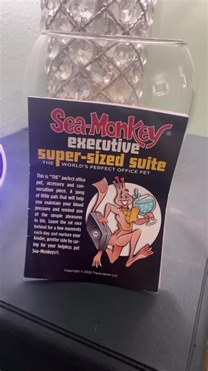 new executive sea monkey tank 👀 #seamonkeys2021 #seamonkeytiktok #seamonkeybreeding #seamonkeyseggs #seamonkeyjourney #fyp #seamonkiesoftiktok