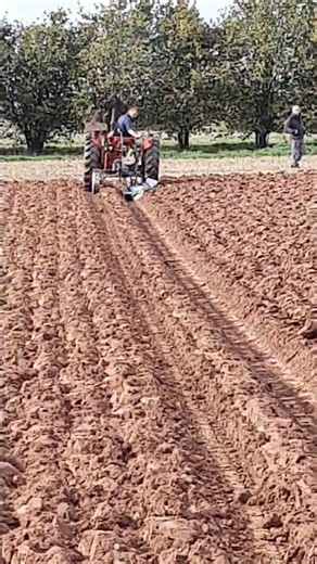 Nuffield 10/42 Tractor Ransomes Ledbury Ploughing Match - Castle Frome - Sunday 5th October 2025