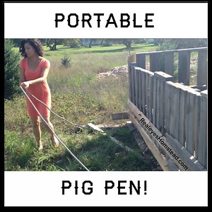 How to Use a Pig Tractor, Portable Pig Pen - Realize Permaculture Homestead
