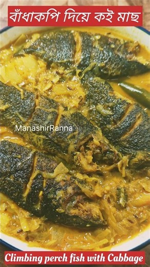 badhakopi diye koi mach#ytshorts#shorts#‪@manashirRanna‬