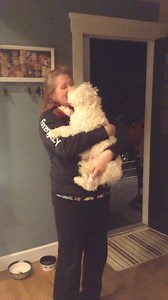 Piper greets Mama like this every morning when she returns from her night shift at the hospital—the stress immediately subsides. Mama refers to Piper as her personal therapy dog ❤️ #westhighlandterrier #lovemydog #funnydogsofinstagram #westies #westhighlandwhiteterrier #funnydogs #westiesofinstagram #dogboops #westielove | The Piper Chronicles