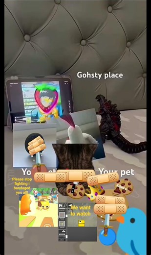 I have a few main pets