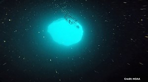 Researchers gear up to explore mysterious 'blue hole' off Florida's Gulf Coast
