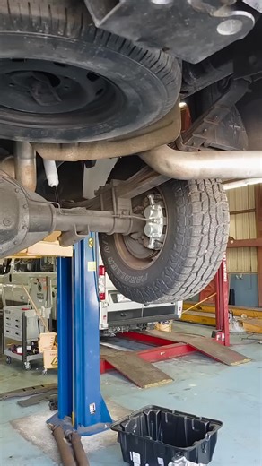 Car Mechanic Life Insights