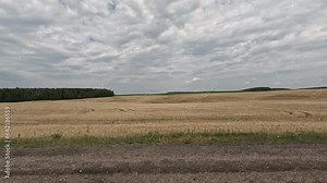 roadside view, road and landscape, forest and field, view from the car window