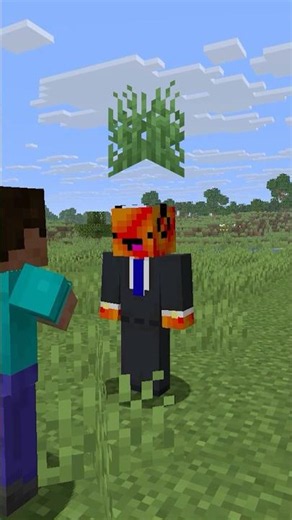 What Happened to "PlantArmor" on BendersMC? 🌱 #minecraft