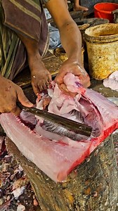 932K views · 2K reactions | Grass Carp Cleaning & Filleting | Pro Knife Skills ✨ #fblifestyle #beefrecipe #sundaydinner #sundayspecials #sundaybrunch #giveaways #spanish #breakfastrecipe #gamedayfood #foodgiveaway #holidayrecipe | Fish Cutting | Facebook