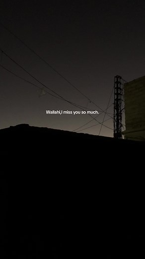 Nighttime Silhouette: Moonlit Rooftop Scene