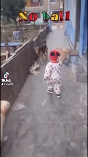 3.5K views · 24 reactions | No matter how any time I watch this I can’t work it out 樂 | Viral random videos | Facebook