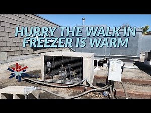 HURRY THE WALK IN FREEZER IS WARM