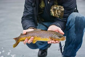 Top 3 Fish Species Caught While Ice Fishing