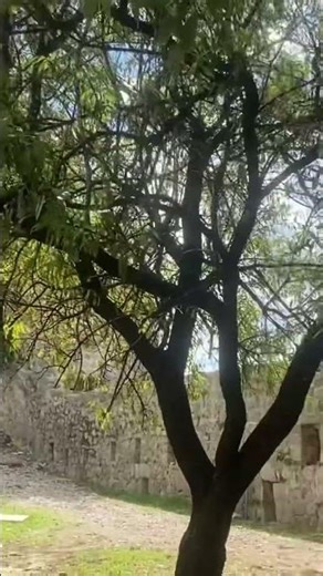 Bar, Montenegro — A Journey Through Time. Bar, Montenegro – Eine Reise durch die Zeit