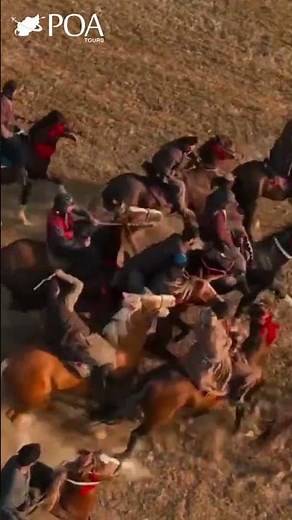 Buzkashi — The Traditional and Powerful Sport of Afghanistan 🇦🇫