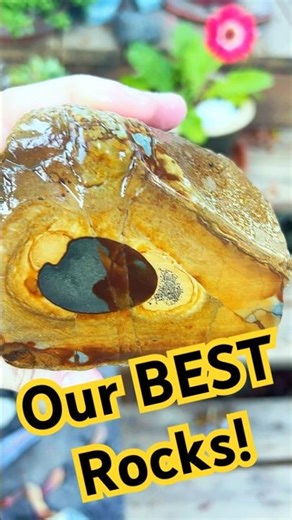 All these amazing rocks have something in common! #rockhounding