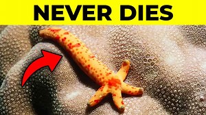 25 Little Known Facts Worth Knowing