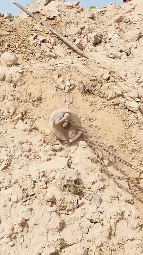 837K views · 7.4K reactions | ⏳ Take soil samples  Soil testing is essential for a strong and stable house #soilsamples #soilreport #construction | Oyapet | Facebook