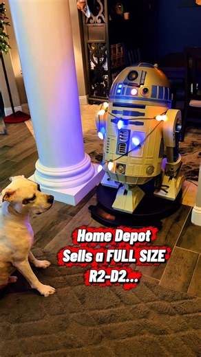 Home Depot has a life size R2-D2 and you expect me to NOT get one? May the Xmas holidays be with you. #starwars #merrychristmas #xmas #starwarsfan #christmas #collection #collector | SIEFE