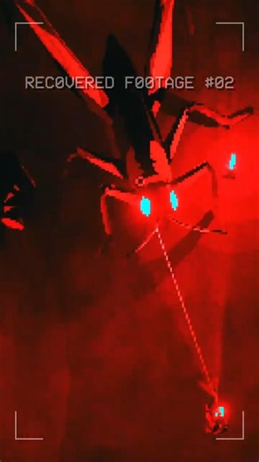 EMPTY SHELL 2 - RECOVERED FOOTAGE #2