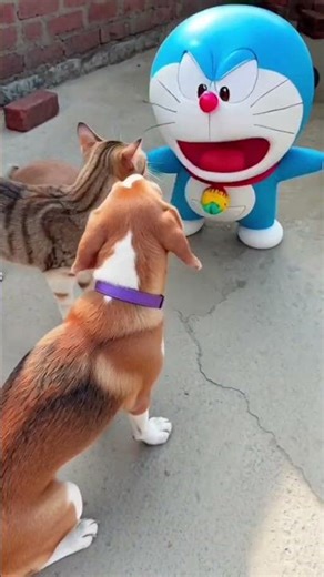 this dog meets michan and Doraemon get angry
