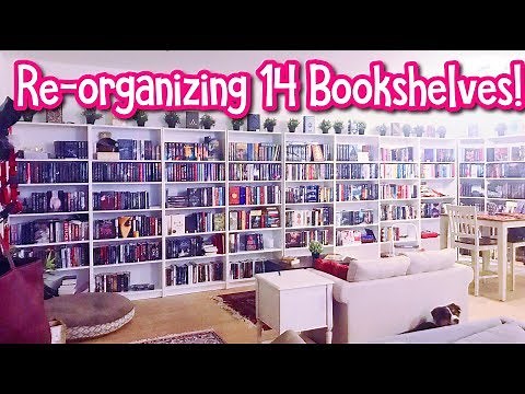 RE-ORGANIZING 14 BOOKSHELVES! (My New Apartment)