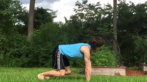 Want to Learn How to Run Really Fast on All Fours?