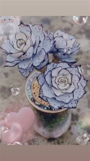 Mandy Wong (@mandywong014)’s videos with