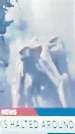 godzilla king of the monster edit