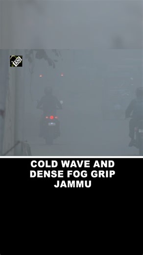 Asian News International | Cold wave and fog conditions continue in Jammu, temp dips to 8°C #JammuWeather #ColdWave #FoggyWeather #IMDUpdate #WinterInJammu... | Instagram