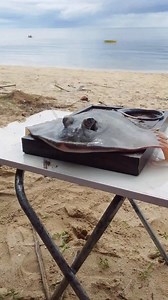 Fried stingray ☺️👍 #FreshSeafood #trendingreelsvideo | Jose Belandria