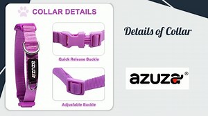 Watch 3 Pack Dog Collars on Amazon Live